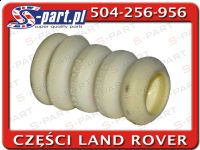 RNH100252